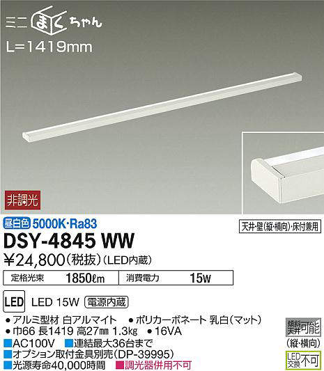 dsy4845ww