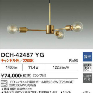 dch42487yg
