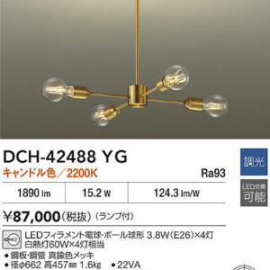 dch42488yg