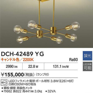 dch42489yg