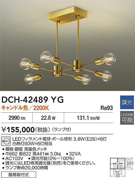 dch42489yg
