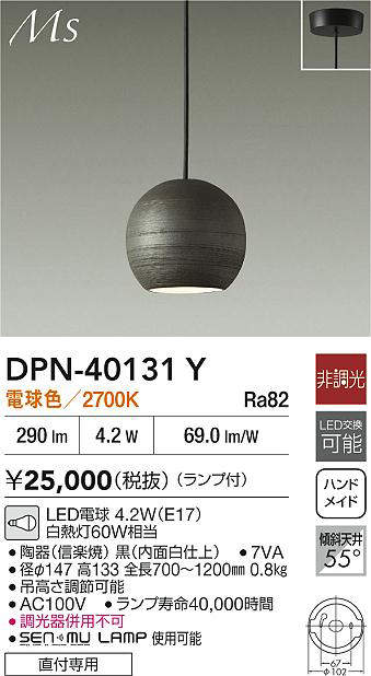 dpn40131y