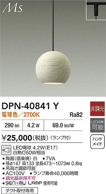 dpn40841y