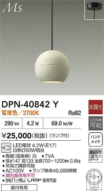 dpn40842y