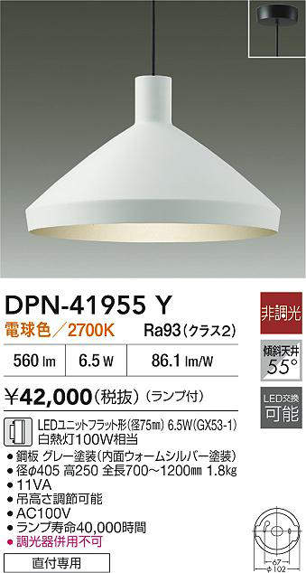 dpn41955y
