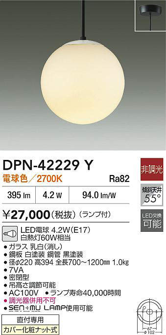 dpn42229y