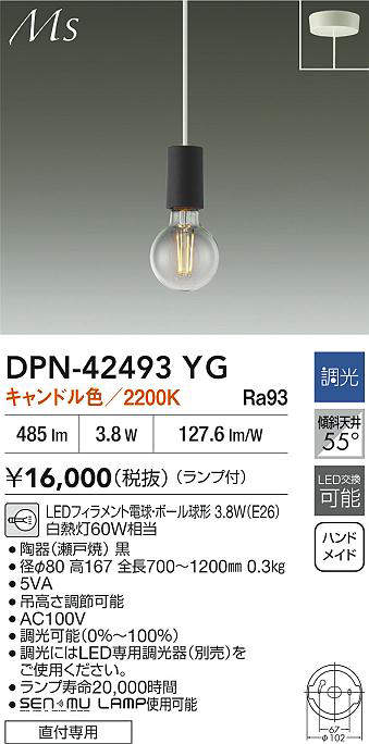 dpn42493yg