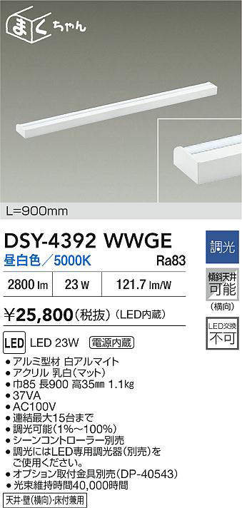 dsy4392wwge