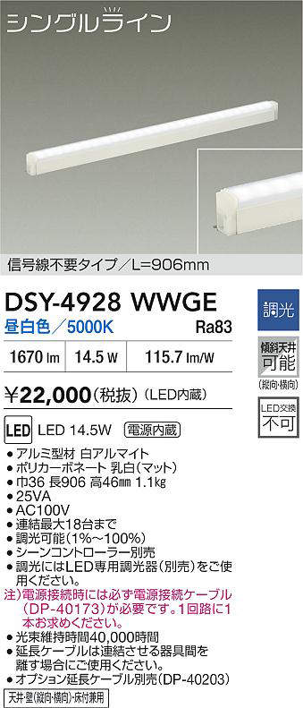 dsy4928wwge