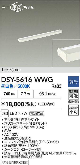 dsy5616wwg