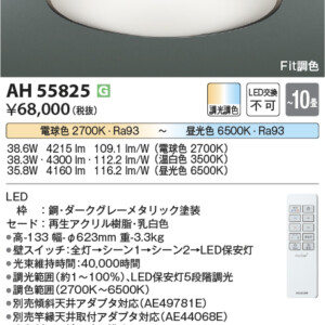 ah55825
