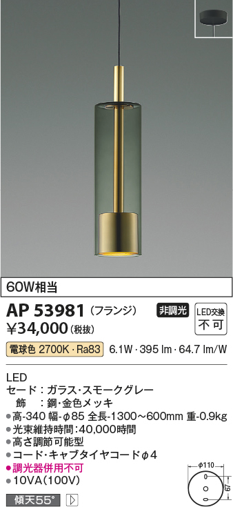 ap53981