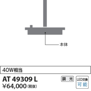at49309l