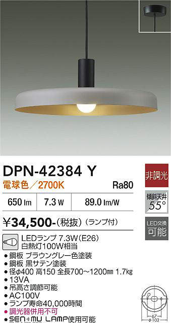 dpn42384y