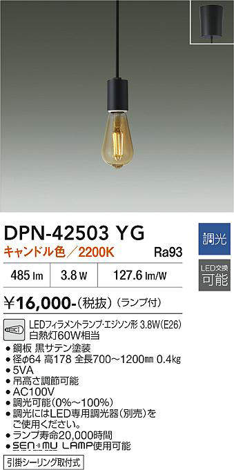 dpn42503yg
