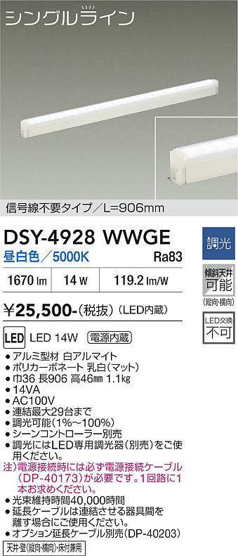 dsy4928wwge