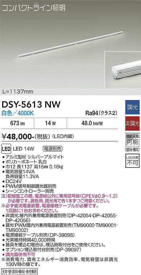 dsy5613nw