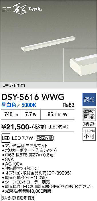 dsy5616wwg